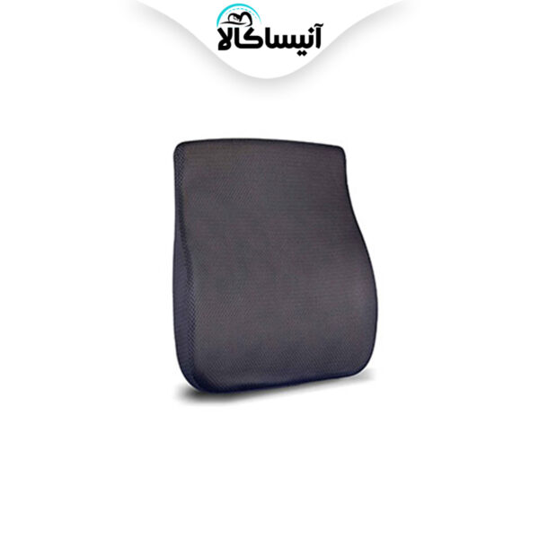محافظ پشت کمر بزرگ آکسون (ارسال رایگان)